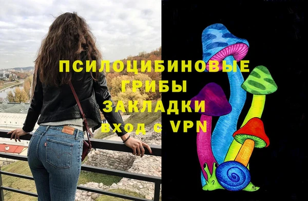 винт Аркадак