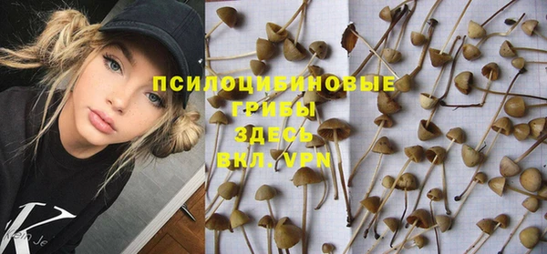 винт Арсеньев